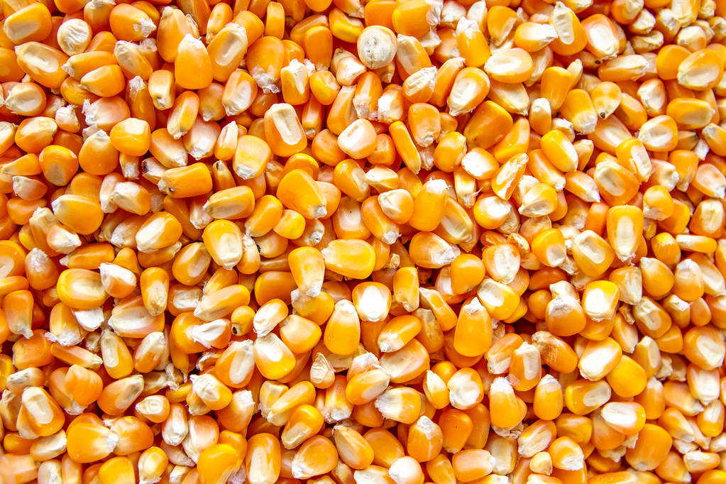 Corn