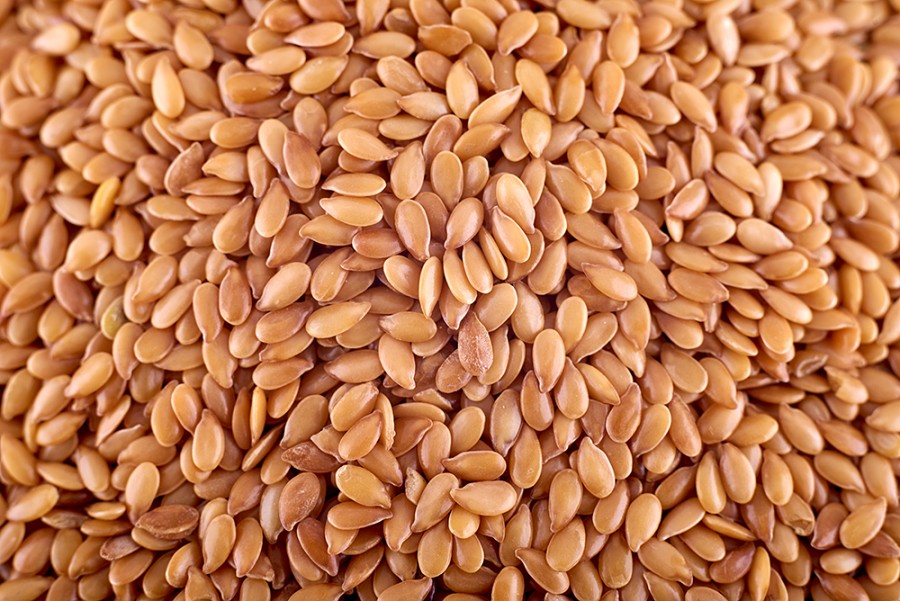 Golden flax